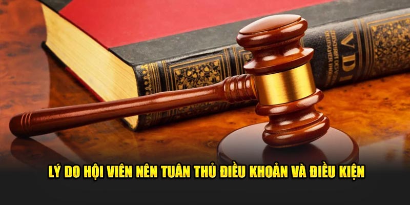Lý do hội viên nên tuân thủ điều khoản và điều kiện