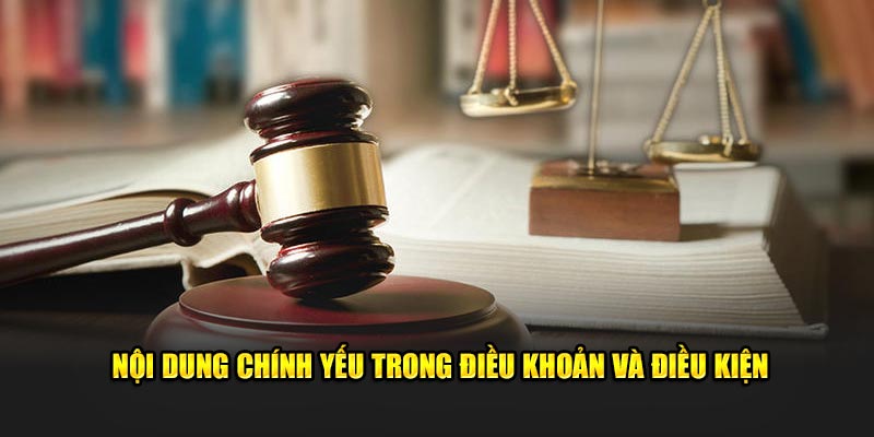 Nội dung chính yếu trong điều khoản và điều kiện